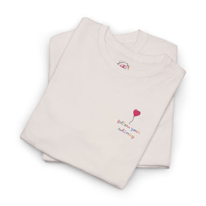 Follow Your Whimsy Heart Balloon Embroidered T Shirt
